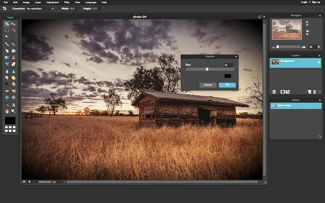 Image Editing