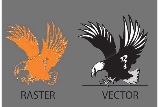 Vector Tracing
